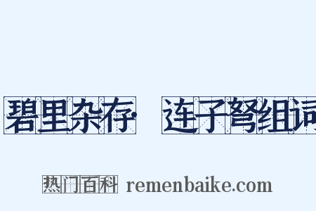 碧里杂存·连子弩组词是什么意思的图片